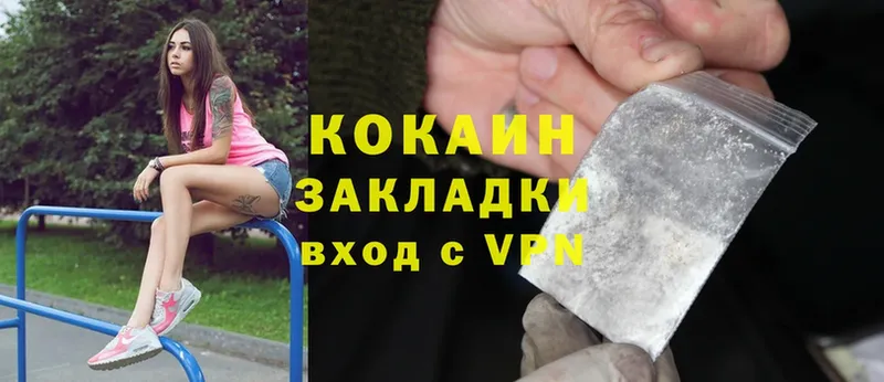 MEGA зеркало  Карачаевск  Cocaine Fish Scale 